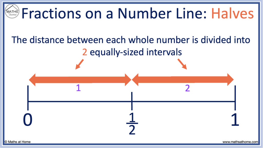 halves on a number line between 0 and 1